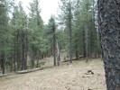 photo thumbnail #11