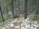 photo thumbnail #12