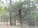 photo thumbnail #13