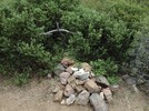 photo thumbnail #1