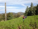 photo thumbnail #9
