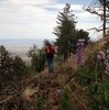photo thumbnail #14