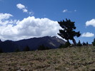 photo thumbnail #14