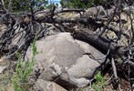 photo thumbnail #8