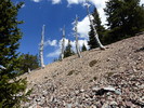 photo thumbnail #14