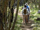 photo thumbnail #15