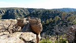 photo thumbnail #7