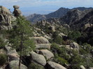 photo thumbnail #1