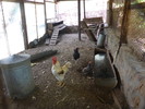 photo thumbnail #7