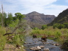 photo thumbnail #9