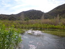 photo thumbnail #10