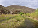 photo thumbnail #11