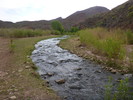 photo thumbnail #12