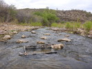 photo thumbnail #14