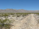 photo thumbnail #2