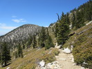 photo thumbnail #10