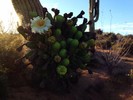 photo thumbnail #2