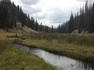 photo thumbnail #1