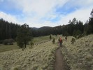 photo thumbnail #2