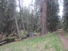 photo thumbnail #4