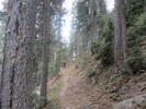 photo thumbnail #7