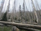 photo thumbnail #9
