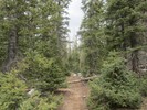 photo thumbnail #13