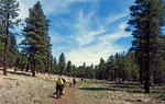 photo thumbnail #6