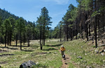 photo thumbnail #8