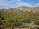 photo thumbnail #1