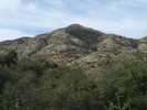 photo thumbnail #2