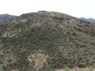 photo thumbnail #14