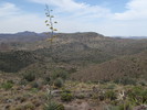 photo thumbnail #15