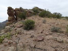 photo thumbnail #3