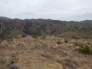 photo thumbnail #8