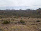 photo thumbnail #9