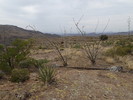 photo thumbnail #11