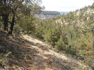 photo thumbnail #8