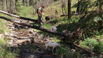 photo thumbnail #8