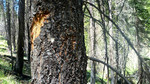 photo thumbnail #9