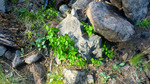 photo thumbnail #14