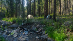 photo thumbnail #15