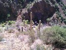 photo thumbnail #8