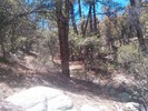 photo thumbnail #11