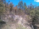 photo thumbnail #12