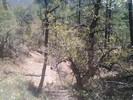 photo thumbnail #13