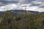 photo thumbnail #13