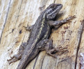 photo thumbnail #9