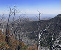 photo thumbnail #2