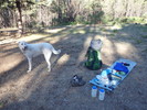 photo thumbnail #2